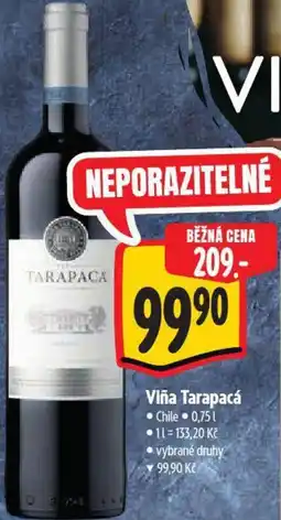 Albert Viña Tarapacá nabídka