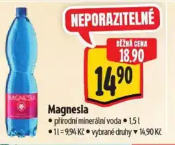 Albert Magnesia nabídka