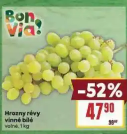 Billa Hrozny révy vinné bilé volné nabídka