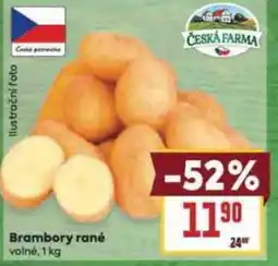 Billa Brambory rané nabídka