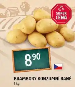 Terno Konzumní brambory rané 1kg nabídka