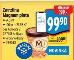 Albert Zmrzlina Magnum Pinta nabídka