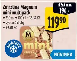 Albert Zmrzlina Magnum mini multipack nabídka