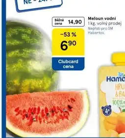 Tesco MELOUN VODNÍ nabídka