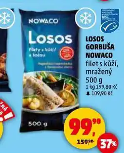 Penny Market Losos gorbuša nowaco nabídka