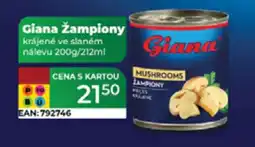 Tamda Foods Giana žampiony nabídka