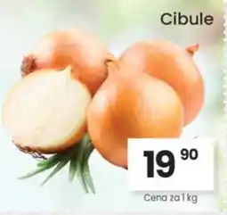 Kubík potraviny Cibule nabídka