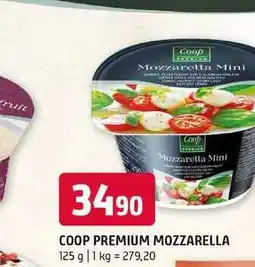 Terno COOP PREMIUM MOZZARELLA 125 g nabídka