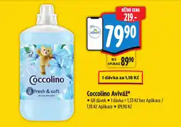 Albert Coccolino Aviváž nabídka