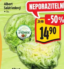Albert Albert Salát ledový nabídka