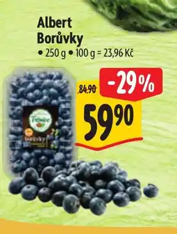 Albert Albert Borůvky nabídka