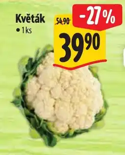 Albert Květák nabídka