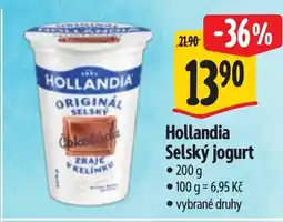 Albert HOLLANDIA Selský jogurt nabídka