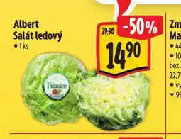 Albert Salát ledový nabídka