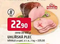 Trefa UHLÍŘSKÁ PLEC 100g nabídka