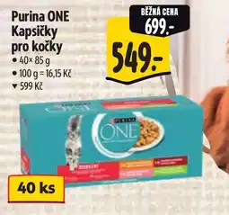 Albert Purina ONE Kapsičky pro kočky nabídka