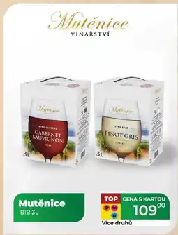 Tamda Foods Mutěnice BIB 3L nabídka