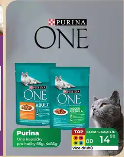 Tamda Foods Purina One kapsičky pro kočky 85g, 4x85g nabídka