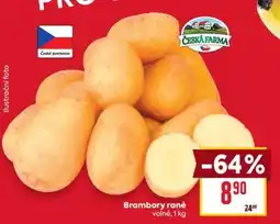 Billa Brambory rané nabídka