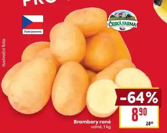 Billa Brambory rané nabídka