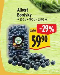 Albert Borůvky nabídka