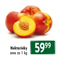 Qanto Nektarinky nabídka