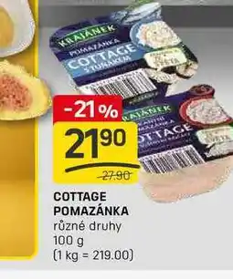 Flop COTTAGE POMAZÁNKA různé druhy 100g nabídka