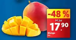 Lidl Mango nabídka