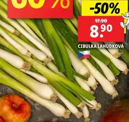 Lidl CIBULKA LAHŮDKOVÁ nabídka