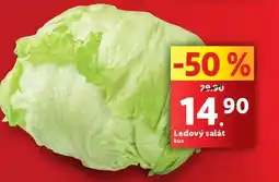 Lidl Ledový salát nabídka