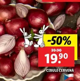 Lidl Cibule červená nabídka