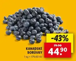 Lidl KANADSKÉ BORŮVKY nabídka