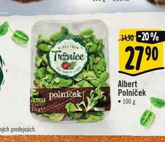 Albert Polníček nabídka
