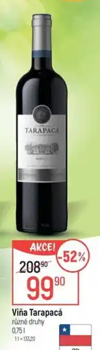 Globus Viña Tarapacá nabídka