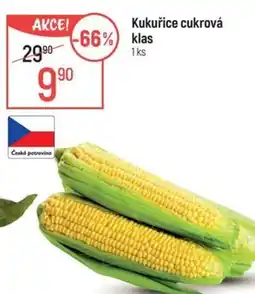 Globus Kukuřice cukrová klas nabídka