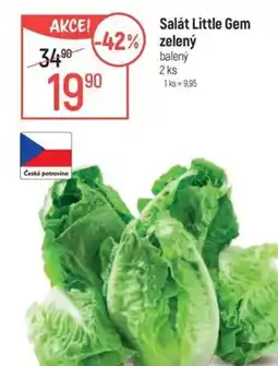 Globus Salát Little Gem zelený nabídka
