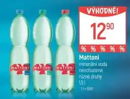Globus Mattoni nabídka