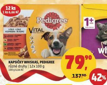 Penny Market Pedigree kapsičky pro psy nabídka