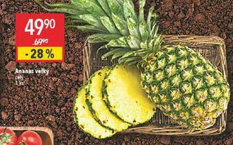 Globus Ananas velký nabídka