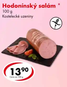 CBA Hodonínský salám nabídka