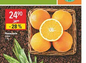 Globus Pomeranče nabídka