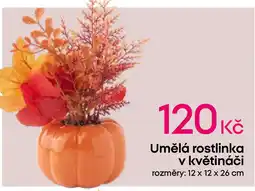 Pepco Umělá rostlinka v květináči nabídka