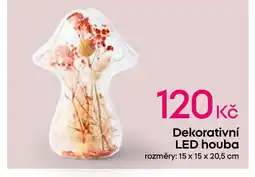 Pepco Dekorativní LED houba nabídka