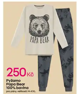 Pepco Pyžamo Papa Bear 100% bavlna nabídka