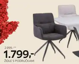 XXXLutz Židle s područkami nabídka