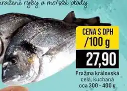 Jip Pražma královská celá, kuchaná cca 300-400 g nabídka