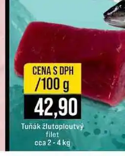 Jip Tuňák žlutoploutvý filet cca 2-4 kg 100g nabídka