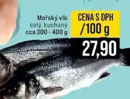 Jip Mořský vlk cely, kuchany cca 300-400 g 100 g nabídka