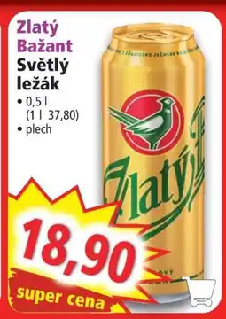 Norma Zlatý Bažant nabídka