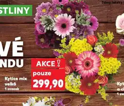 Kaufland Kytice mix velká nabídka